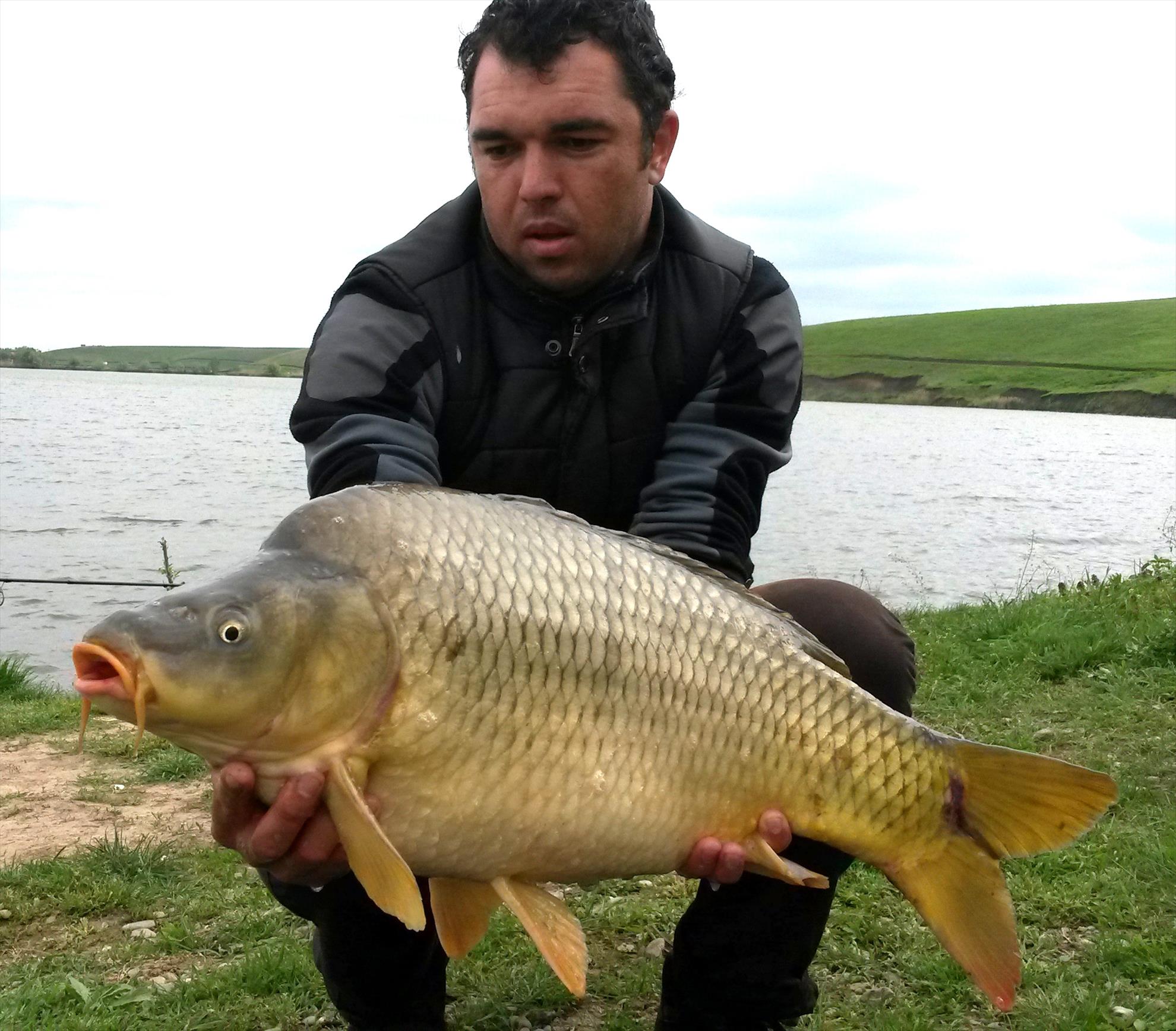 Sulimanu 27 aprilie 2014